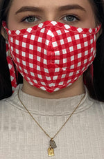 Red Gingham Fitted Fashion Face mask with filter
